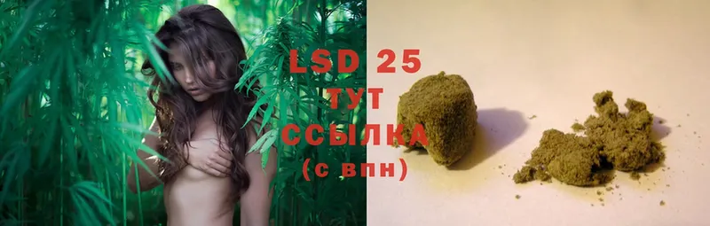 LSD-25 экстази кислота  где купить наркотик  hydra как войти  Абаза 